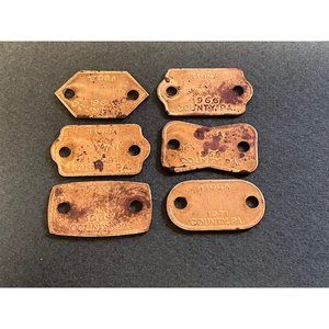 Lot of 6 Brass Pennsylvania Dog Tax Registration Tags Tioga County 1963-1971